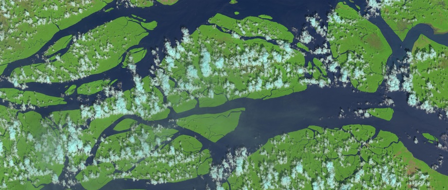 Glovis-NASA, delta de l'Amazone